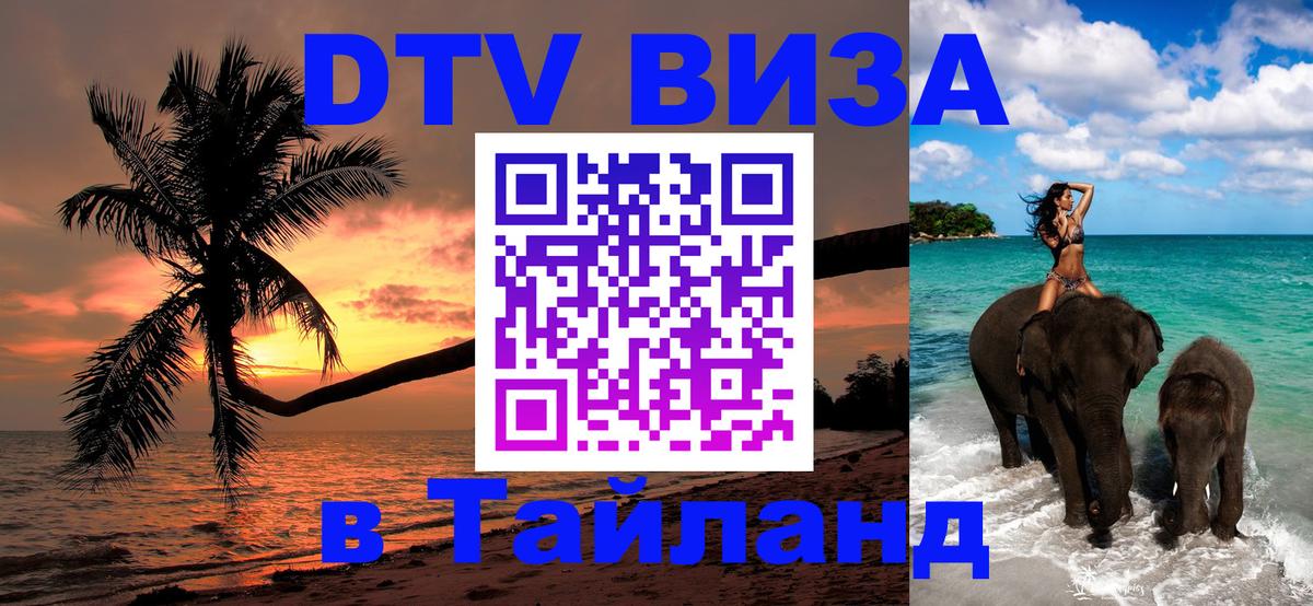 Сколько стоит DTV виза — актуальные цены, оформление даже без документов - 19.11.2025 